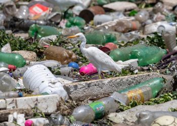 Tradisi Munggahan dengan Bersihkan Gunungan Sampah di Ibu Kota Banten