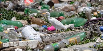 Tradisi Munggahan dengan Bersihkan Gunungan Sampah di Ibu Kota Banten