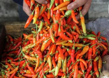 Update Harga Pangan Hari Ini 22 Juli 2022, Daging Sapi Rp 140 Ribu per Kg