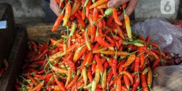 Update Harga Pangan Hari Ini 22 Juli 2022, Daging Sapi Rp 140 Ribu per Kg