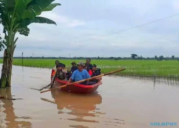 Banjir Rendam 1.393 Hektare Sawah di Ngawi, Petani Anjurkan Klaim Asuransi