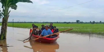 Banjir Rendam 1.393 Hektare Sawah di Ngawi, Petani Anjurkan Klaim Asuransi